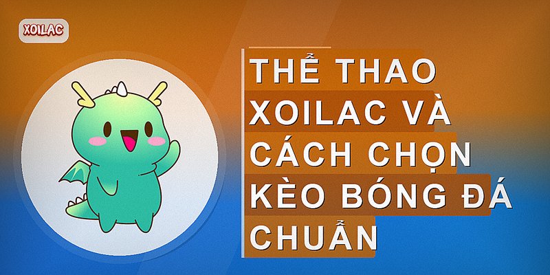 Thể thao Xoilac và cách chọn kèo bóng đá chuẩn