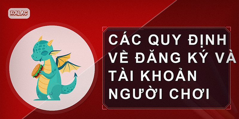Các quy định về đăng ký và tài khoản người chơi