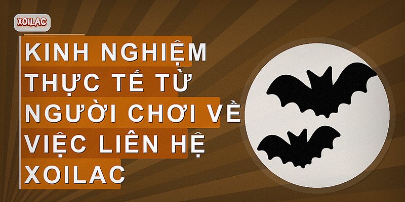 Kinh nghiệm thực tế từ người chơi về việc liên hệ xoilac