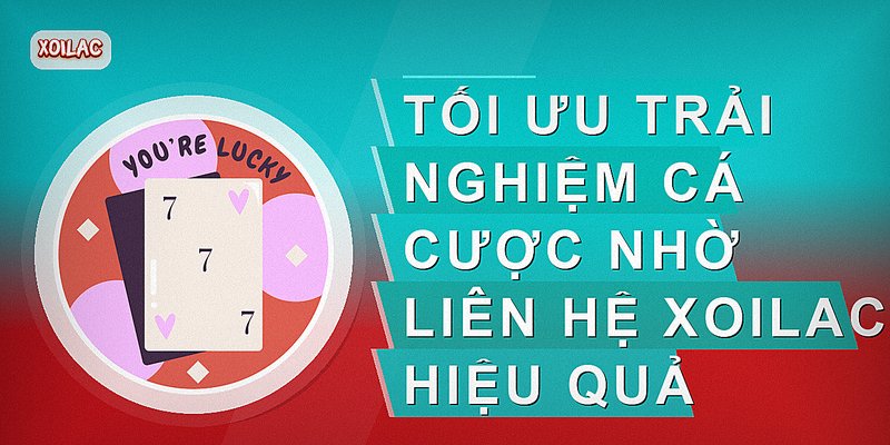 Tối ưu trải nghiệm cá cược nhờ liên hệ xoilac hiệu quả