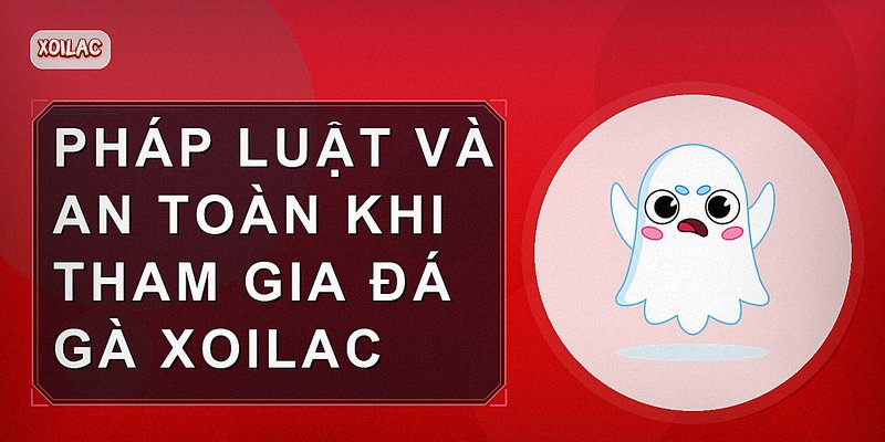 Pháp luật và an toàn khi tham gia đá gà Xoilac